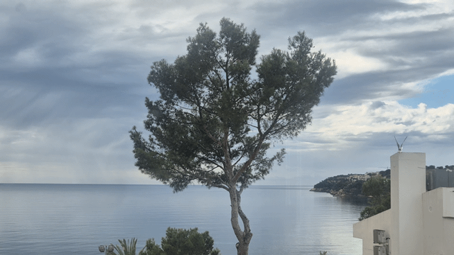 20250326_104511_1.gif