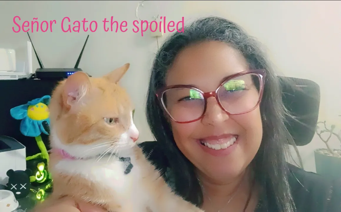 Señor Gato the spoiled.png