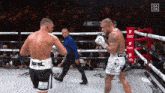 jake-paul-nate-diaz.gif
