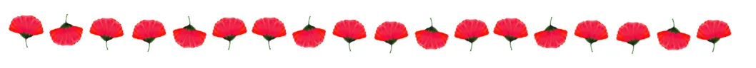 Separador flores rojas.png