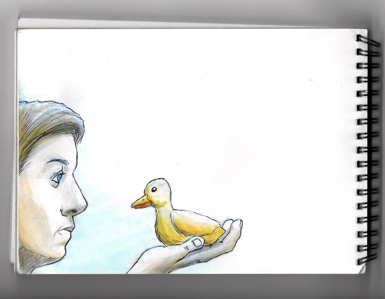 Duckling.jpg