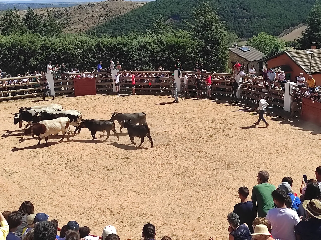 IMG_20220817_122512.jpg