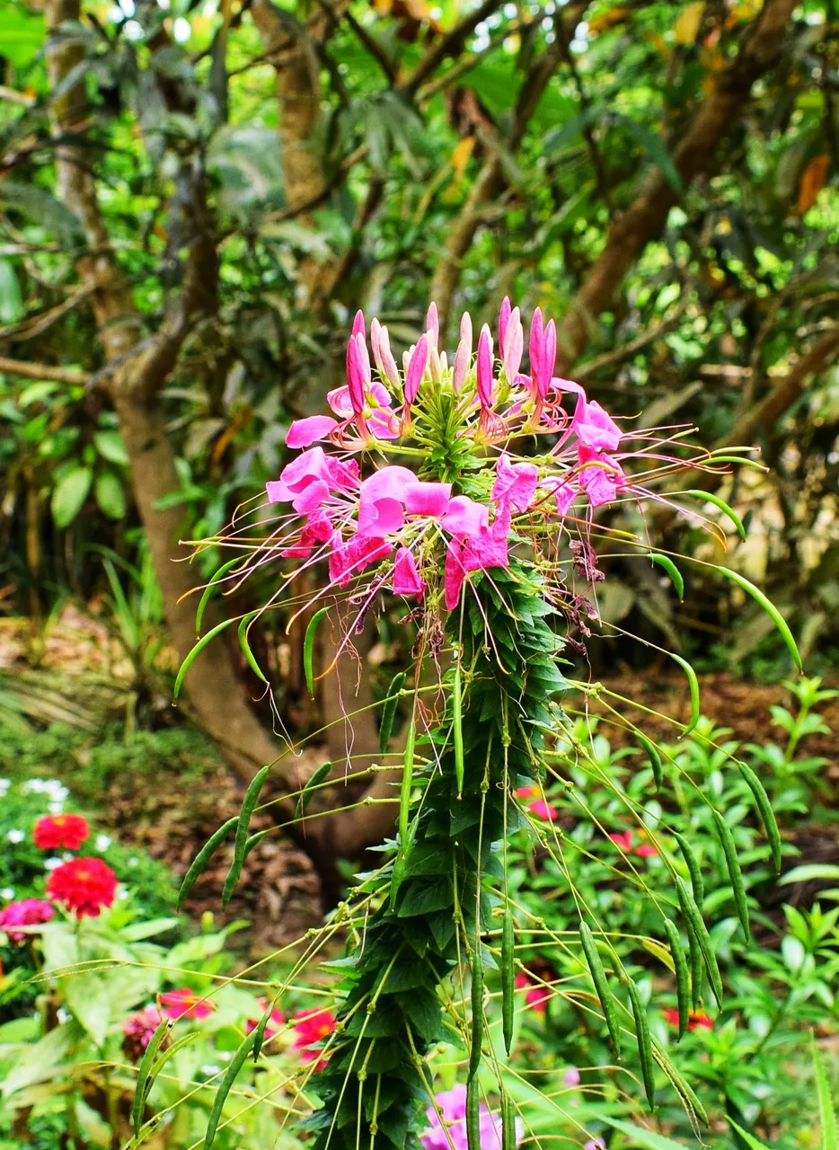 DSC_1375-01.jpeg