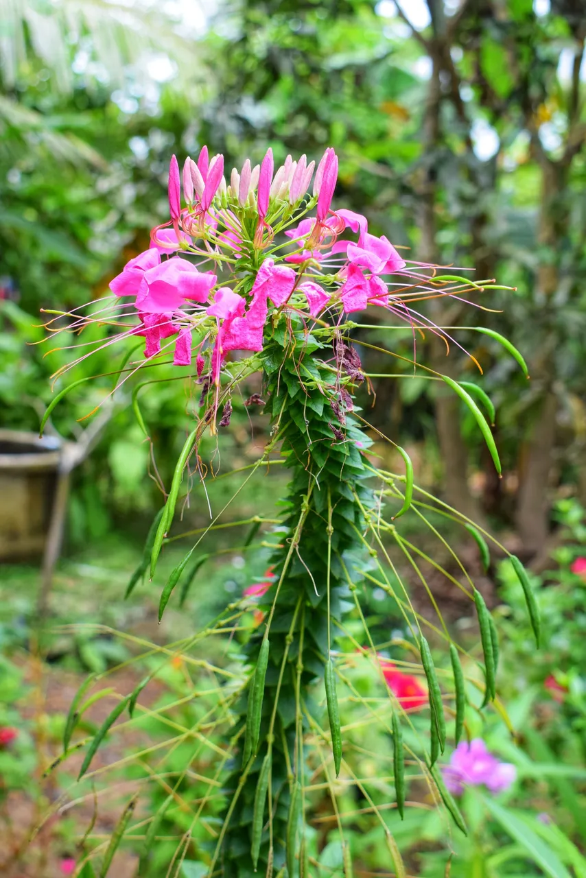 DSC_1384-01.jpeg