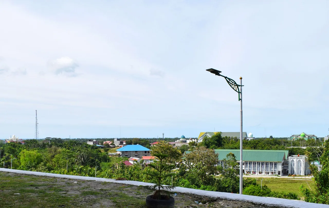 DSC_5772-01.jpeg