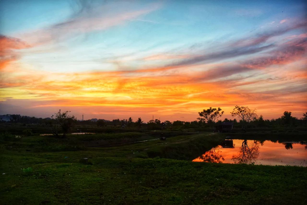 DSC_1016-01.jpeg