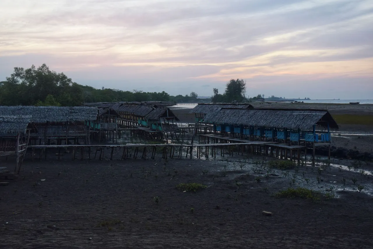 DSC_1012-02.jpeg
