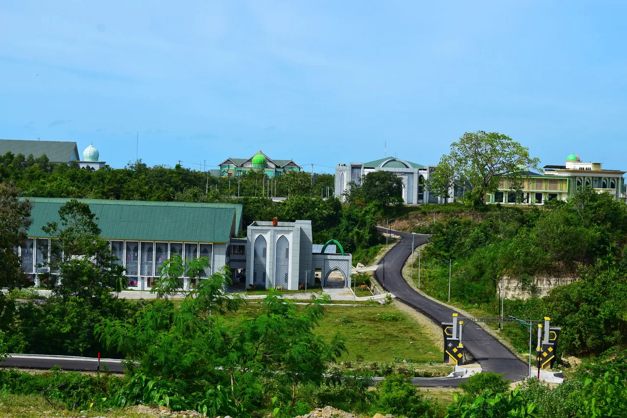 DSC_5788-01.jpeg