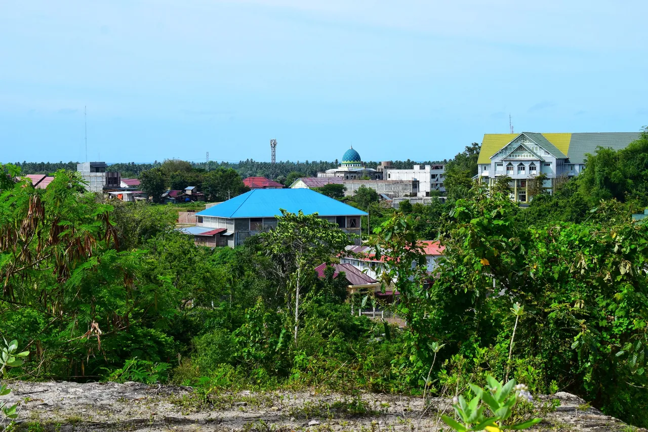 DSC_5789-01.jpeg