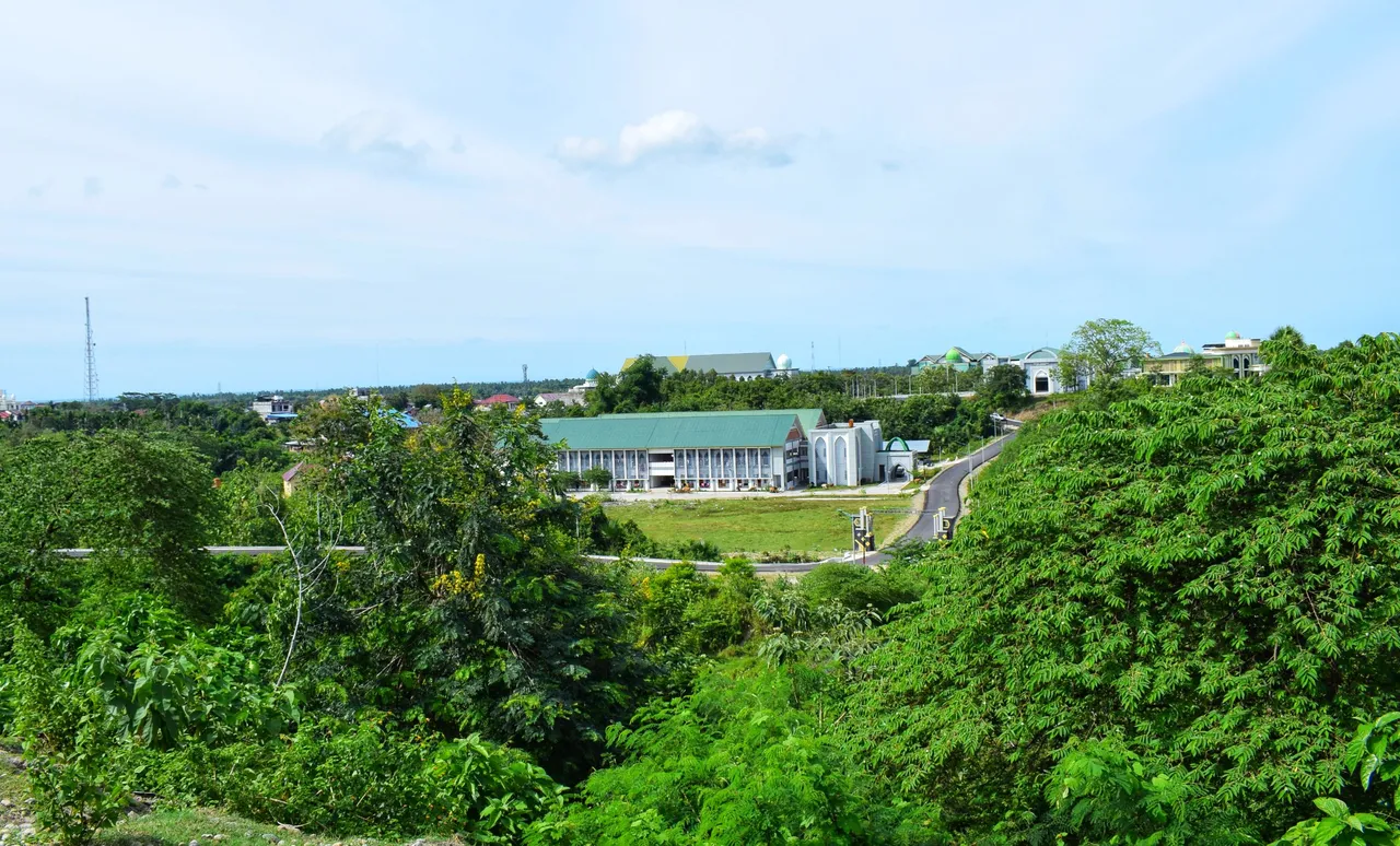 DSC_5786-01.jpeg