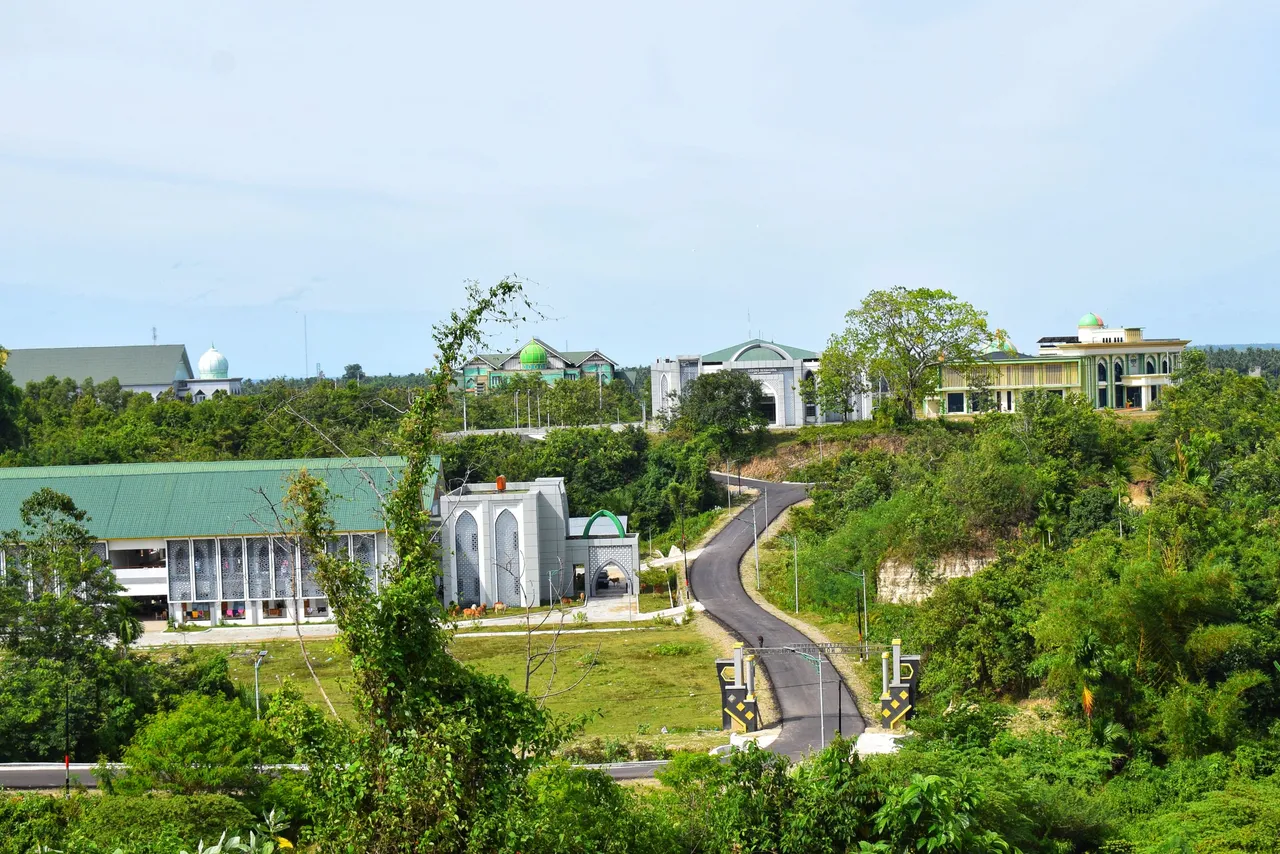 DSC_5774-01.jpeg