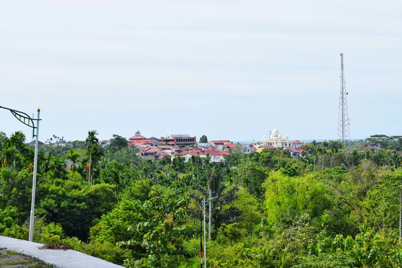 DSC_5776-01.jpeg