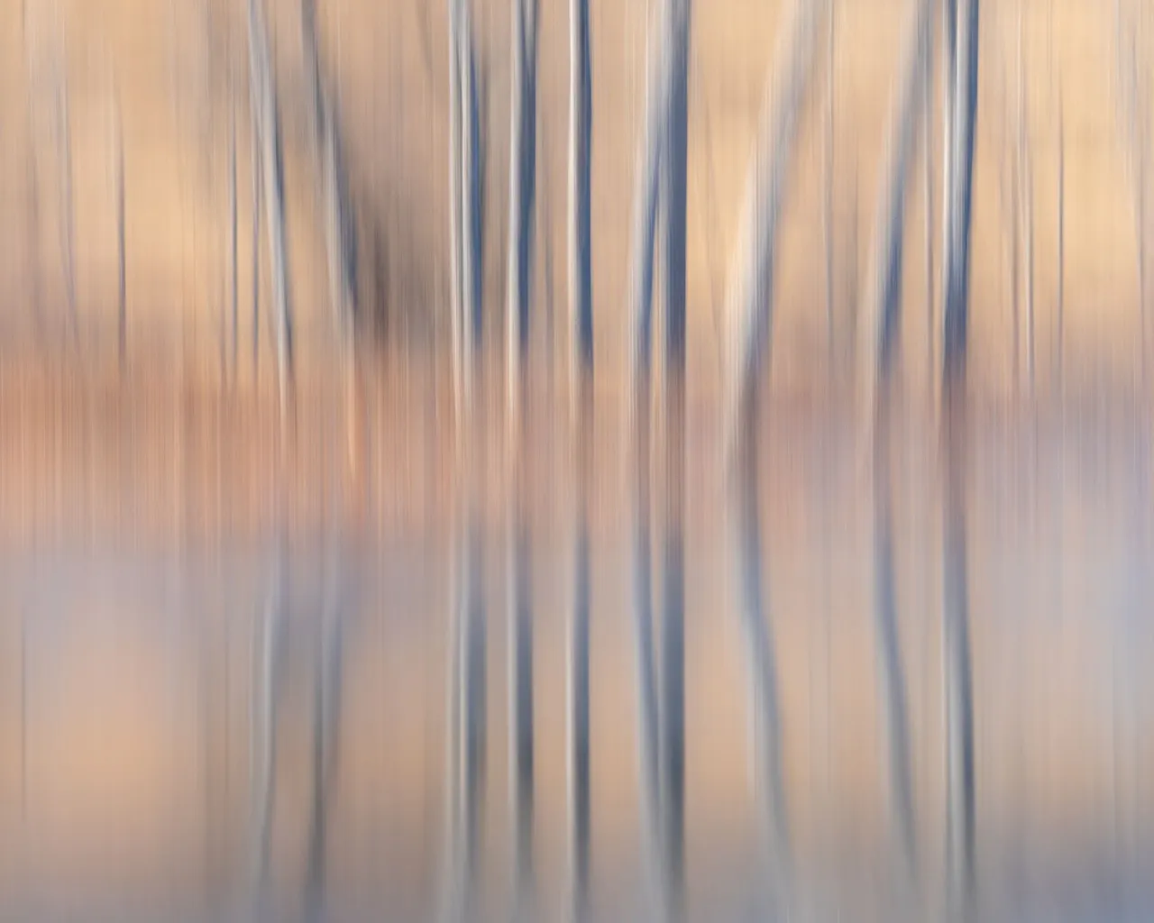 Alfredo Mora Photography ICM-16.jpg