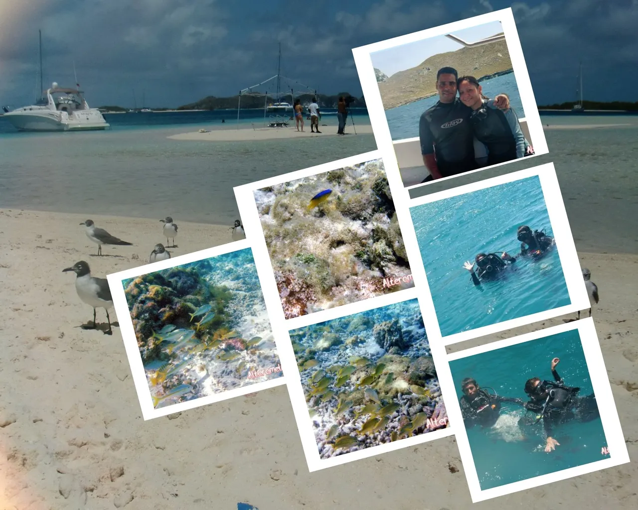 Collage buceo.jpg