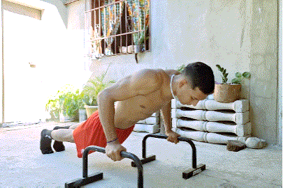 IMG_dsatdf.gif