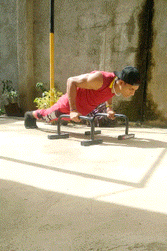 IMG_bmwhon.gif