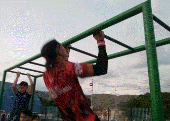 IMG_mk1d2q.gif