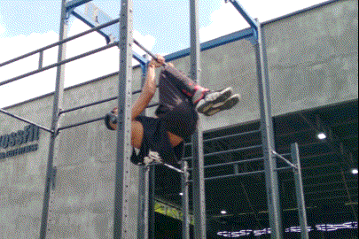 IMG_pcw1v8.gif