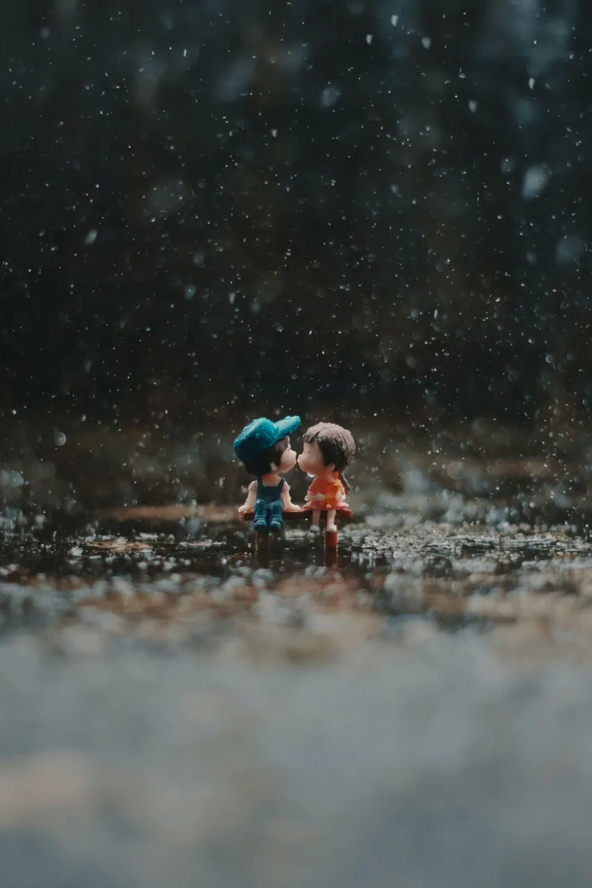 niranjan-_-photographs-HrVJkBRI7xU-unsplash.jpg