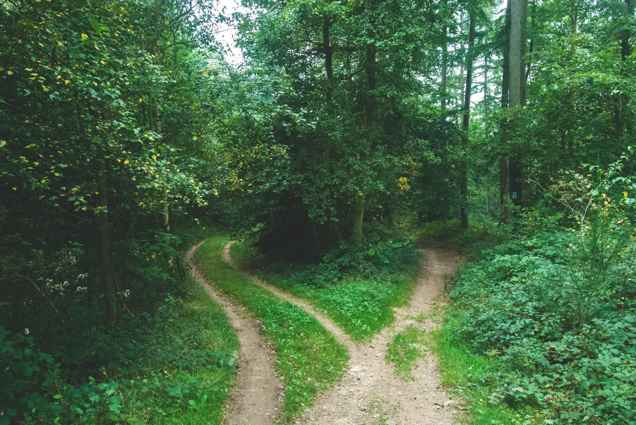 jens-lelie-u0vgcIOQG08-unsplash (1).jpg