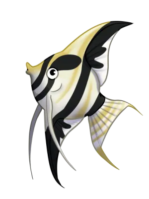 angelfish (1) - Copy.png