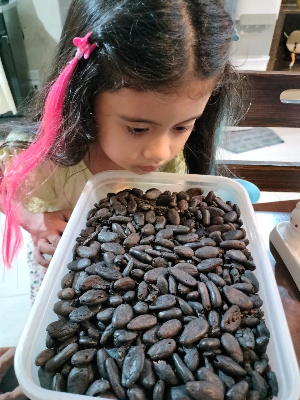 Cacao pic 1 (3).jpg