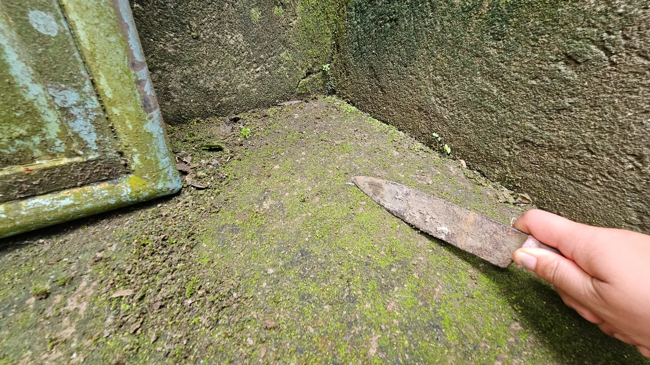 20230804_080517.jpg