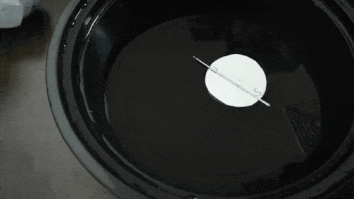 20221031_215225.gif