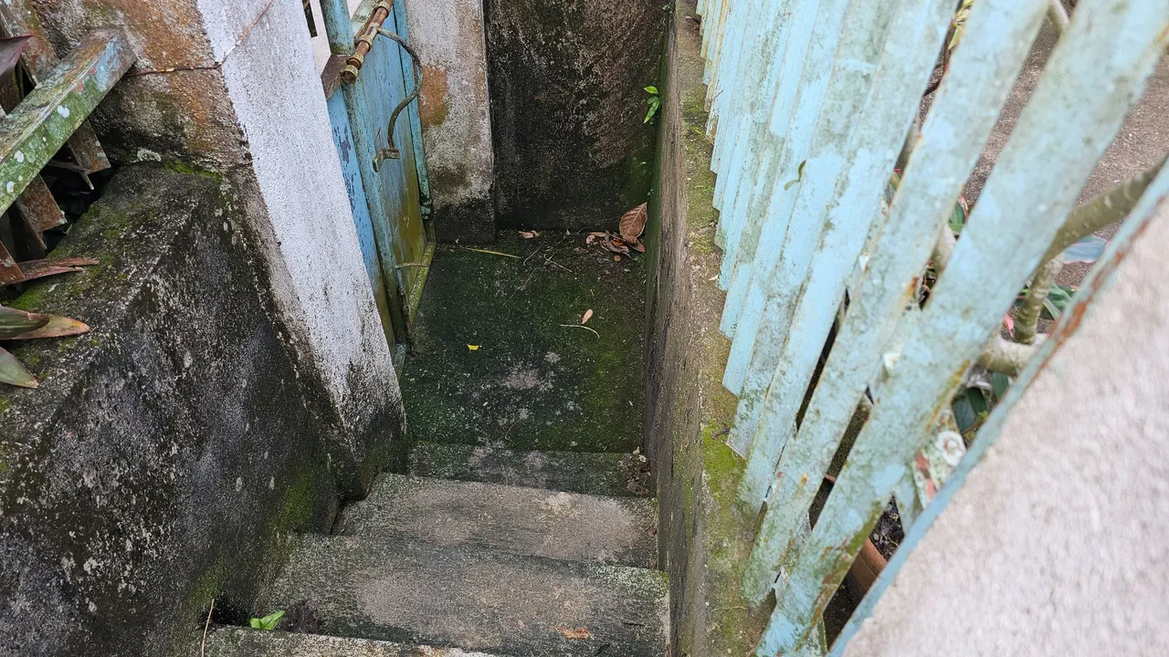 20230804_074358.jpg