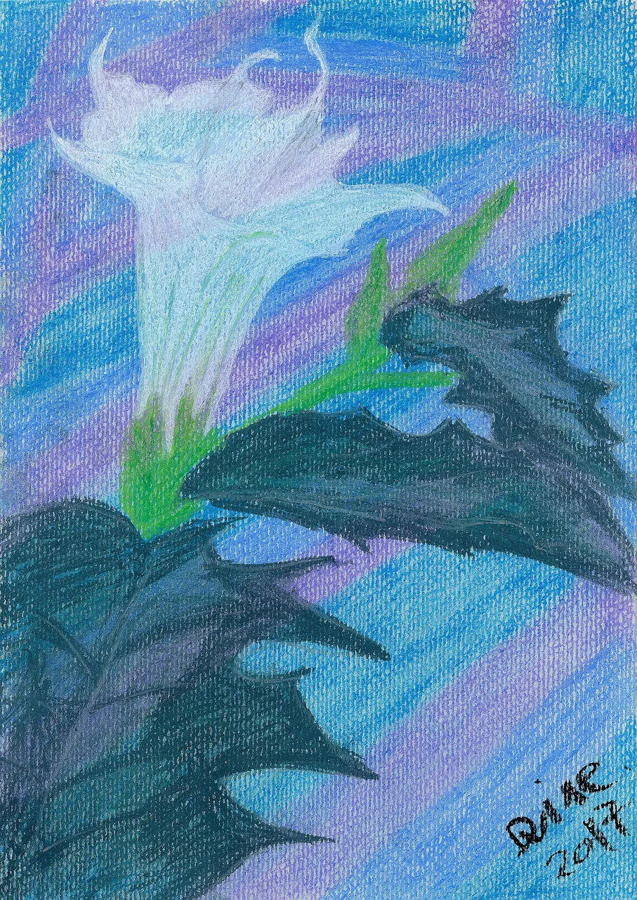 img089datura.png