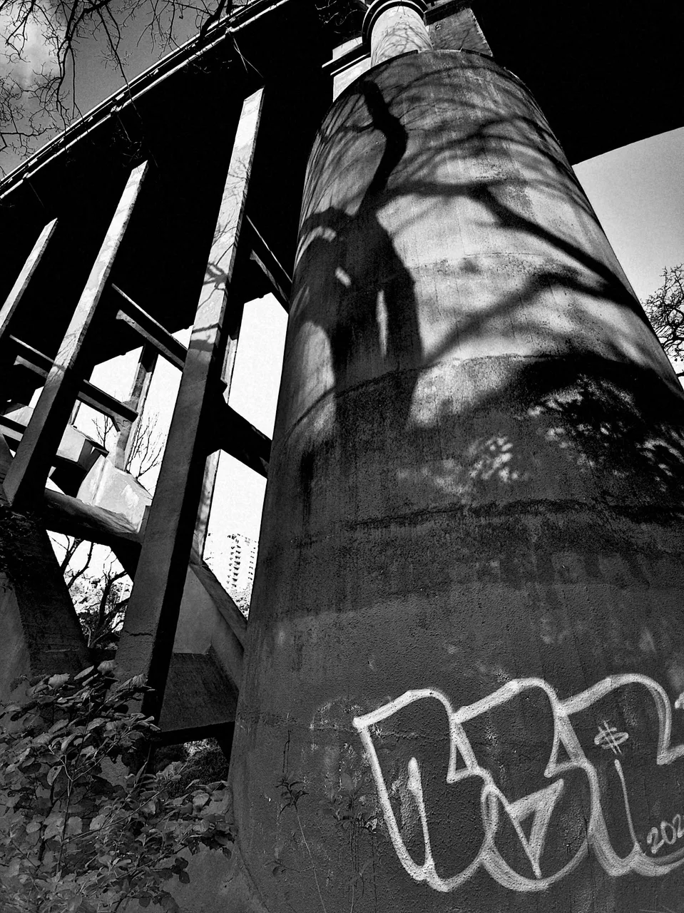 Bridge5_edit_12046279650244.jpg