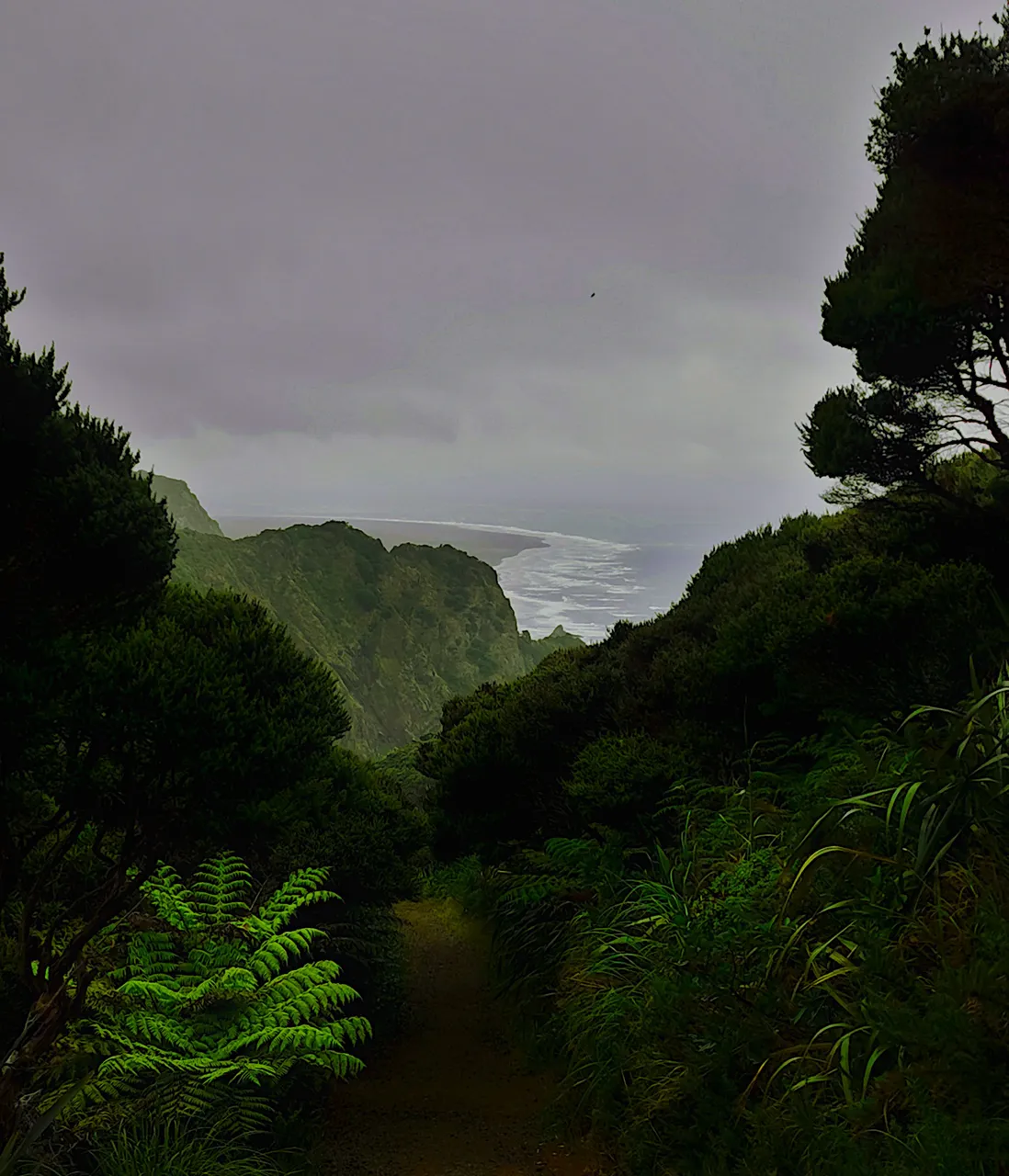 Piha3.jpg