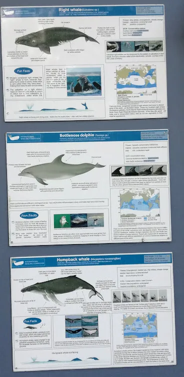 igns of different fish life.jpg