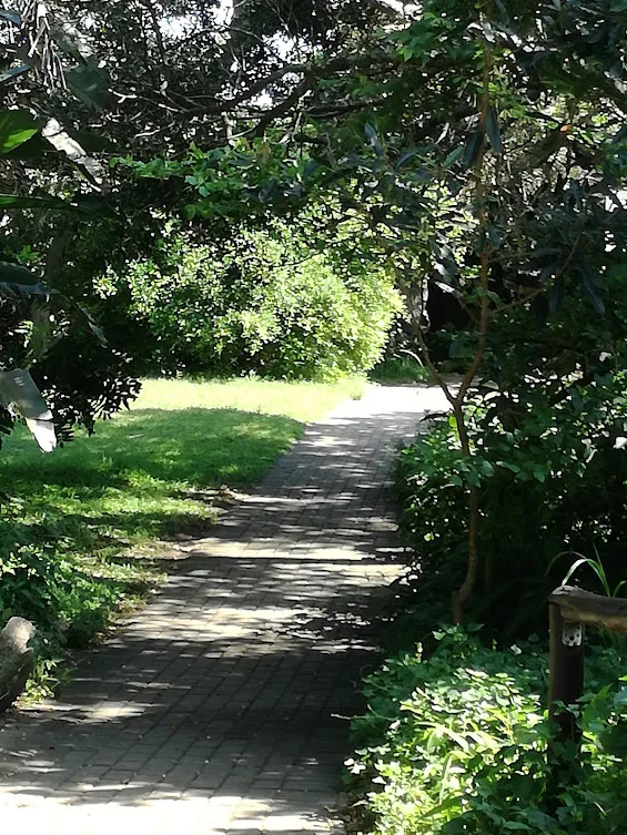 PATH WAY TO THE BEACH.jpg