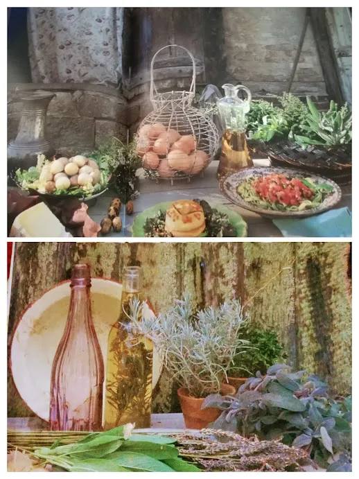 IMG_20230404_110246-COLLAGE.jpg