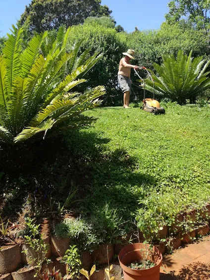 grass cutting.jpg