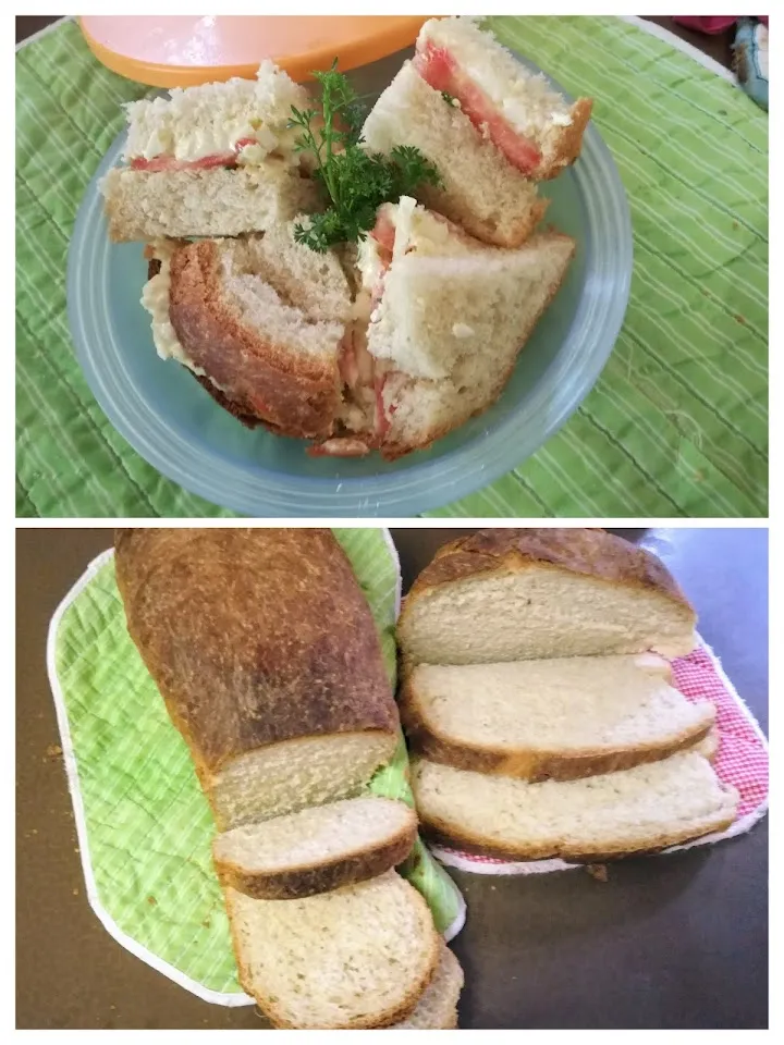 sandwich.jpg