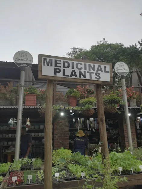 medicinal.jpg