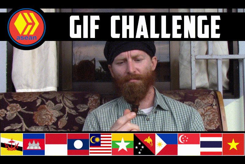 giffy.gif