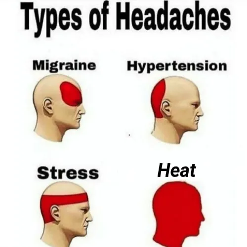 1000316224.jpg