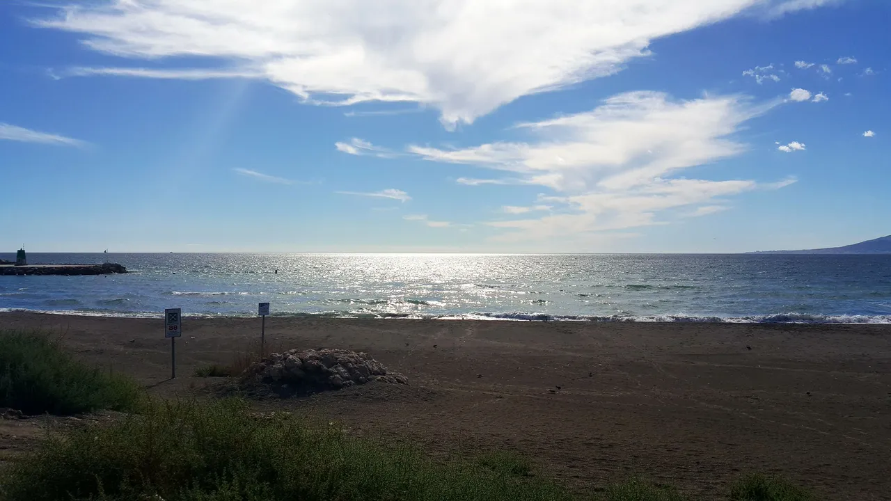 20231024_151008.jpg