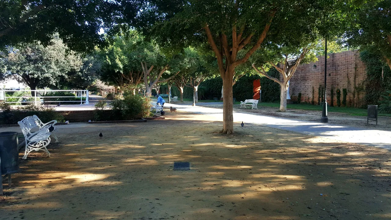 20240202_160500.jpg