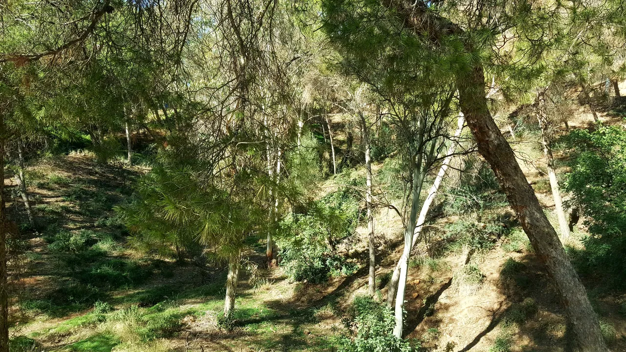 20240218_160448.jpg
