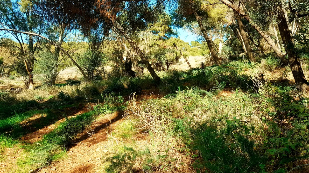 20240218_161250.jpg