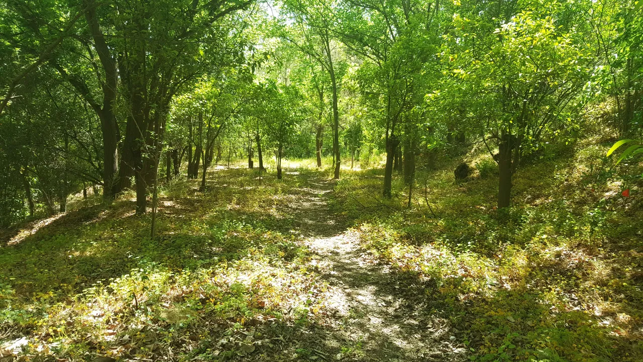 20230420_154948.jpg