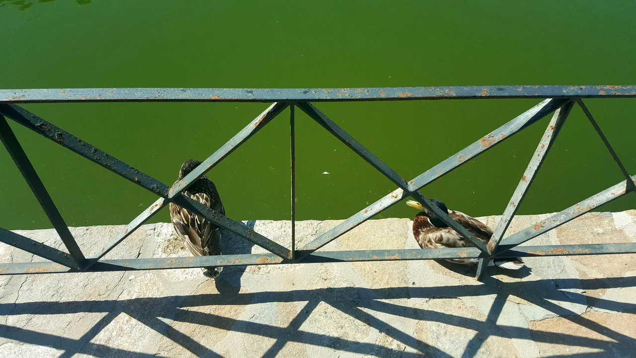 20240503_163125.jpg