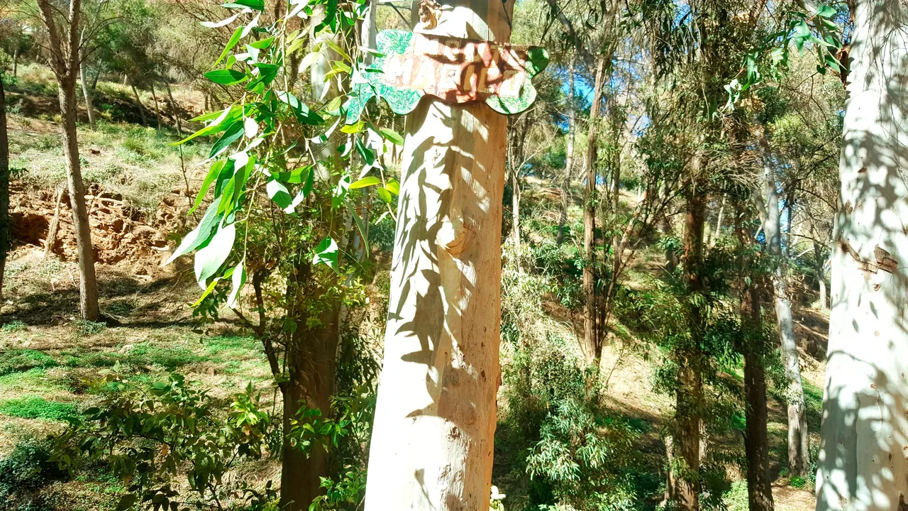 20240218_150450.jpg