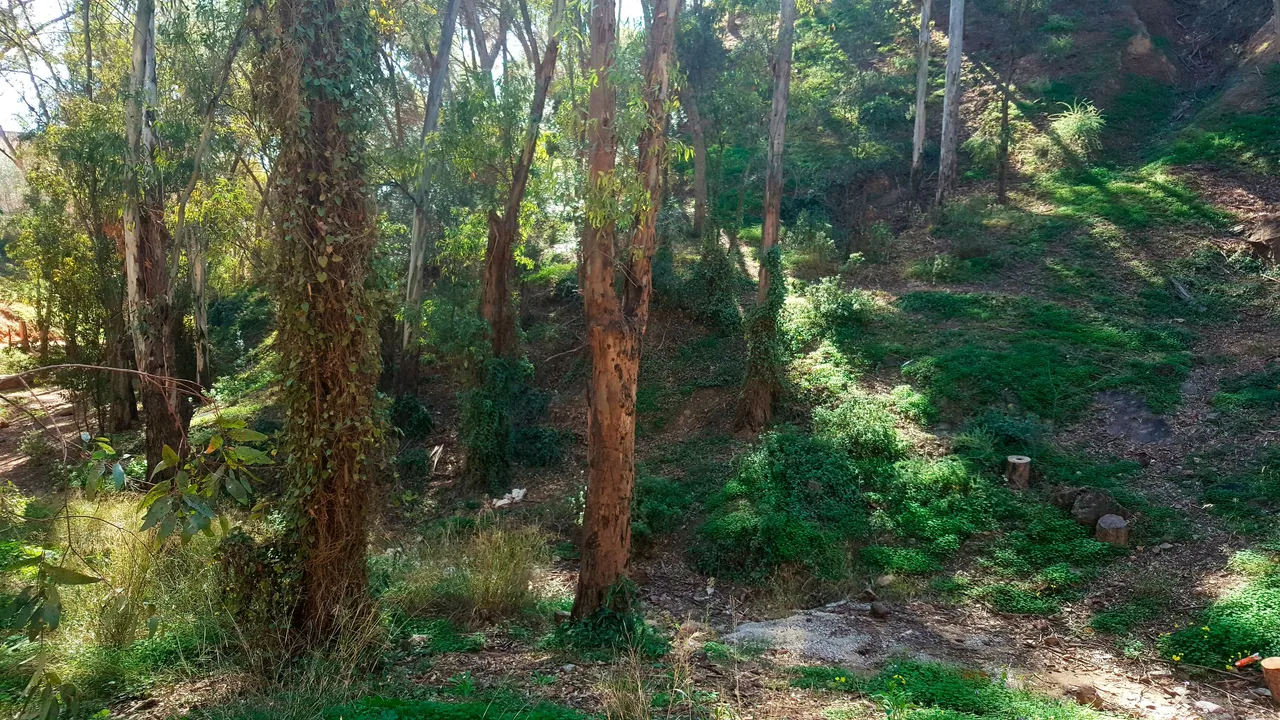 20240218_151157.jpg