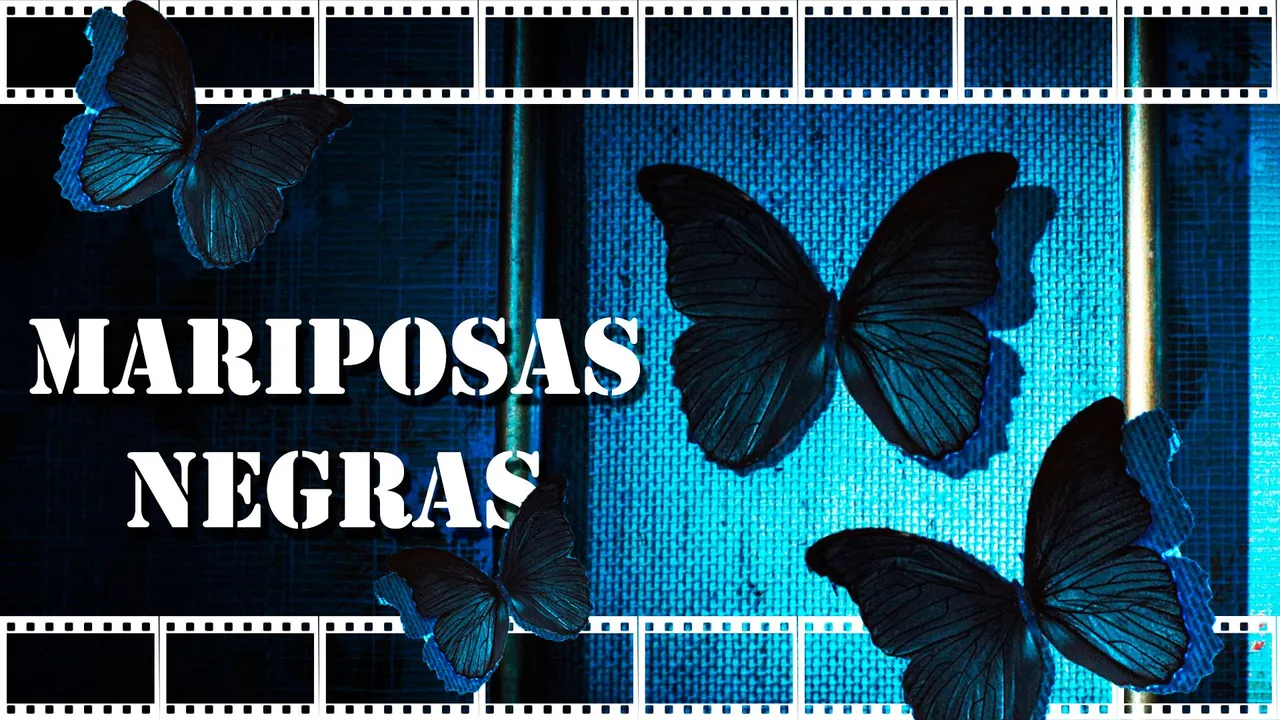 Mariposas Negras MINIATURA.jpg