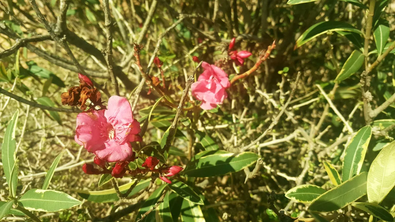 20231024_171627.jpg